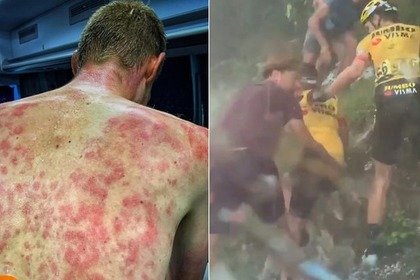 035D9794 CEF9 4615 8A3C 8FA6B18C4DFA