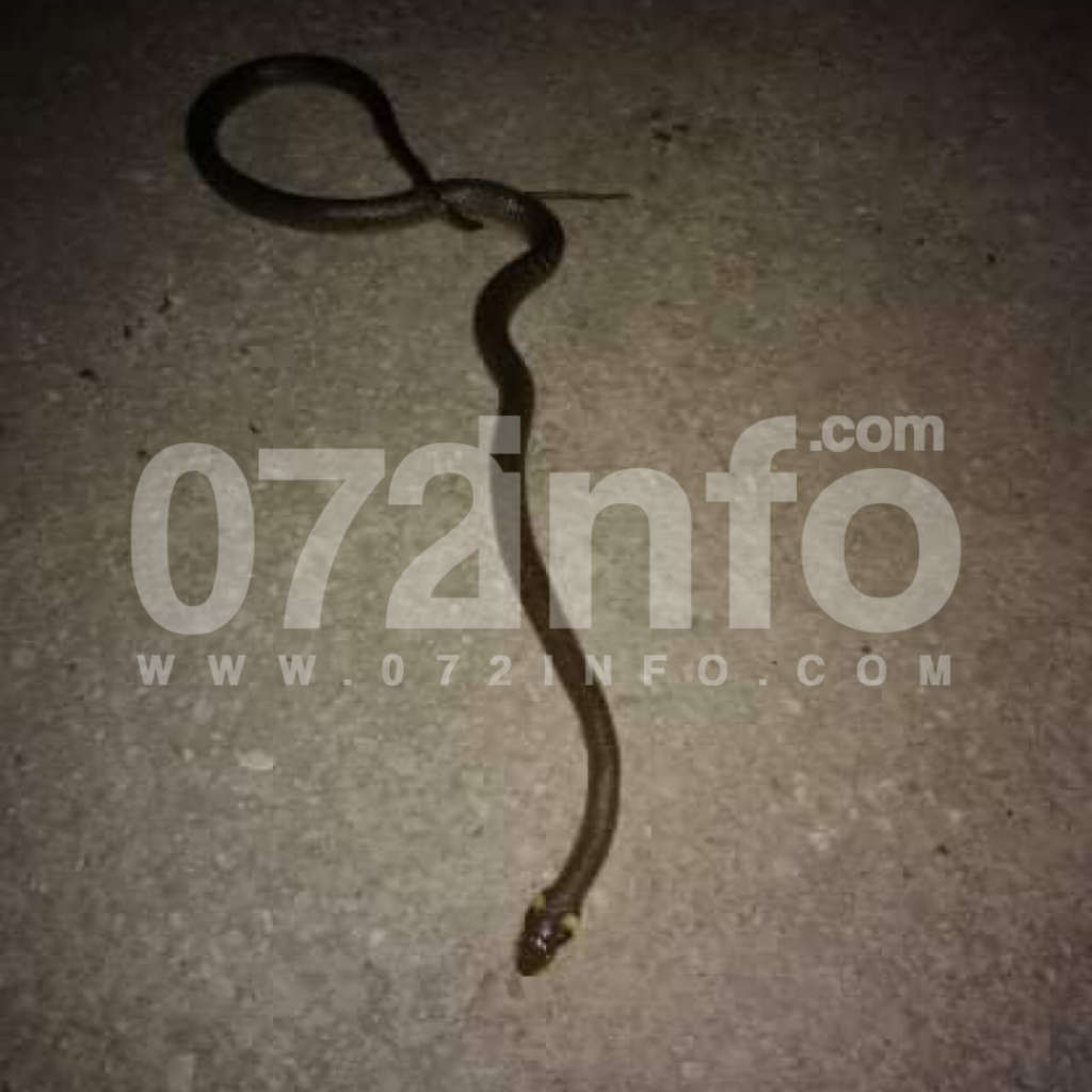 039805AD 065B 43D3 97E2 45A193CCF39E