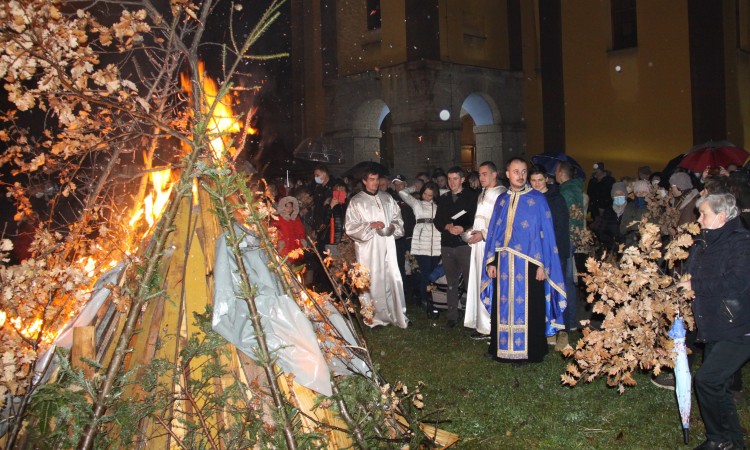 060121 badnjak zenica1