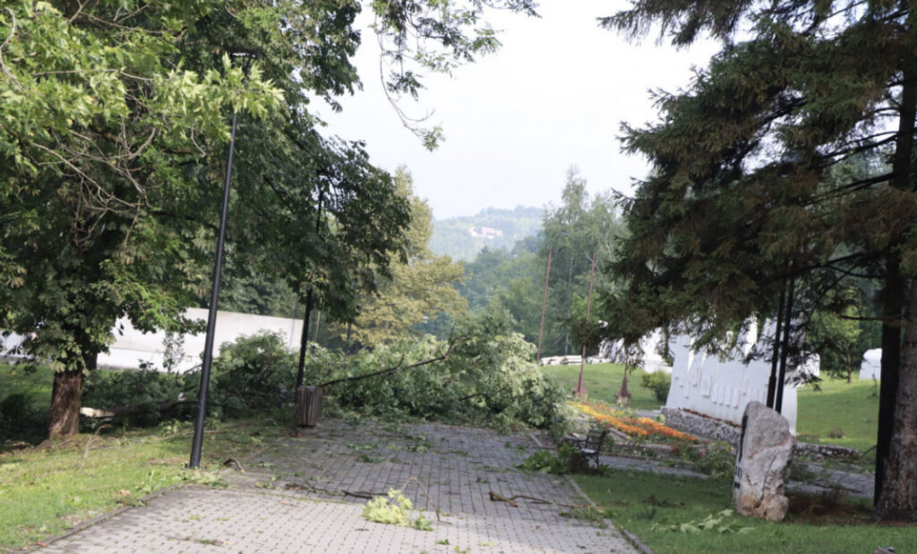 082C48AA 985F 4BFD 9CBD 753FAC19B519