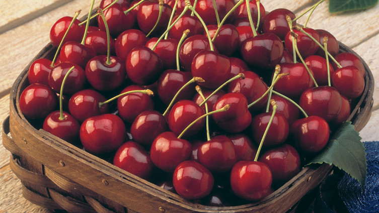 Trešnje treba jesti svaki dan