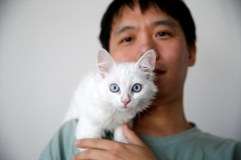 Doputovao iz Kine u Tursku kako bi udomio rijetku tursku van mačku