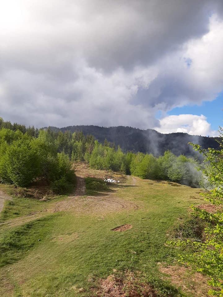 106234896 726257407947352 6576697531076838481 n