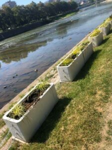 118948509 3242890769151959 8664324671673087779 n