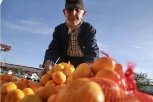 123955510 3739082179436384 5305678420220858497 n