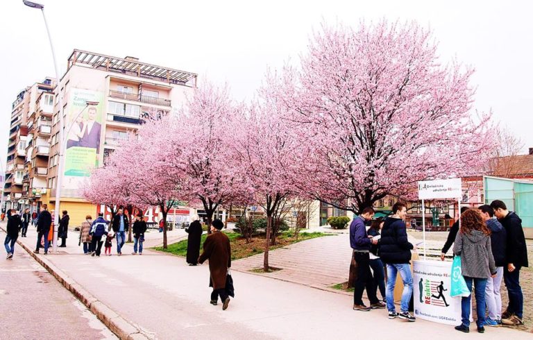 Na korak proljeću: Danas “udara” posljednje, treće džemre – u zemlju