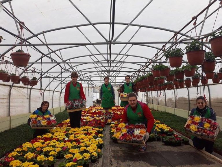 Žene predvode nove prakse u poljoprivredi