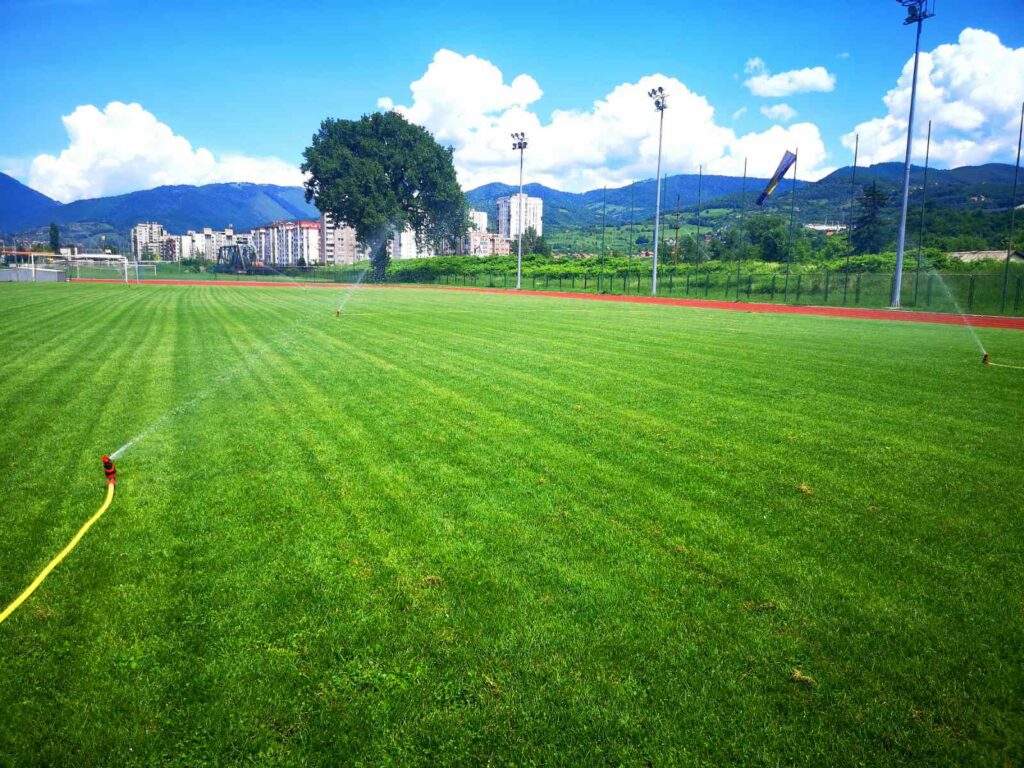 1CD994A1 F87A 416E 8DCD 702738E152FD