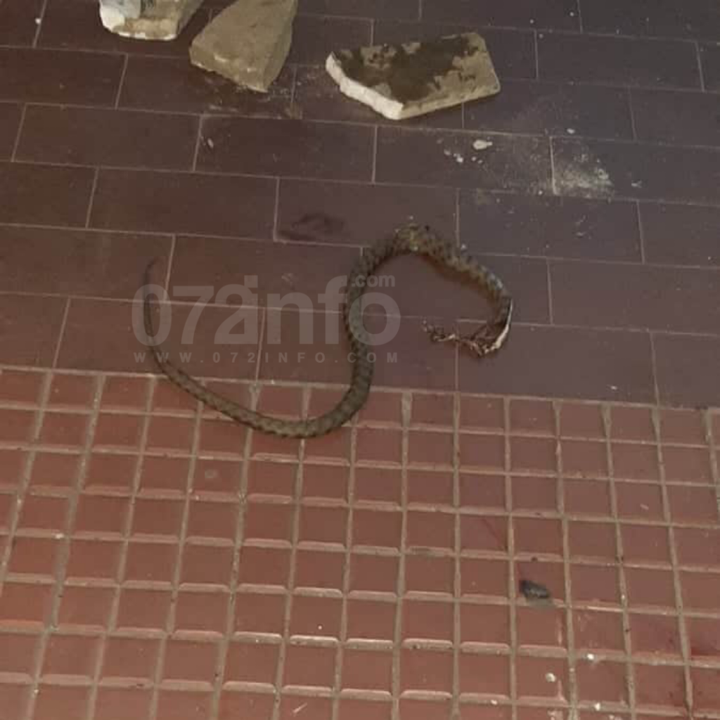 1FE53352 8E14 4BE0 8422 FC4EE7555CBA