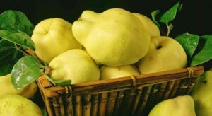 1ba485102284529caa5522cc50a22170