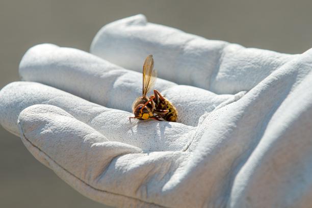 1bf0bd766f5146517ede