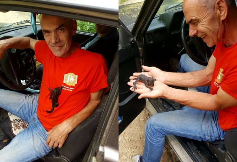 Fojničanin “udomio” mladunče vjeverice