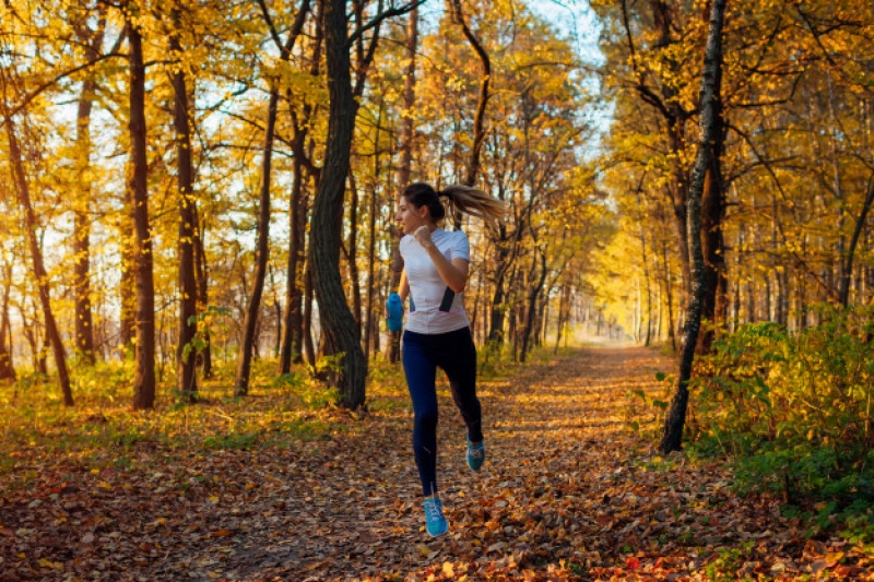 1e71324c9a92d4a242cdda0432731355 1