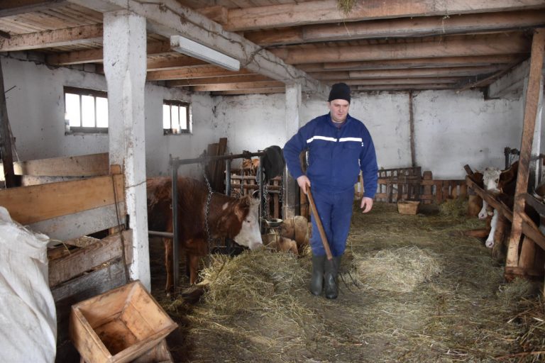 Munib Jusupović začepio usta pesimistima: Vrijedni farmer mjesečno zaradi 3.000 maraka