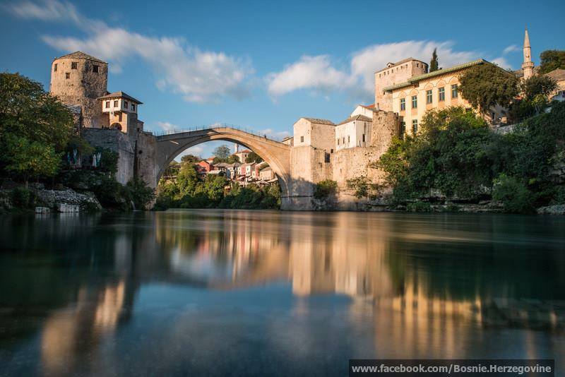 1453377_706390579373676_1004914166_n