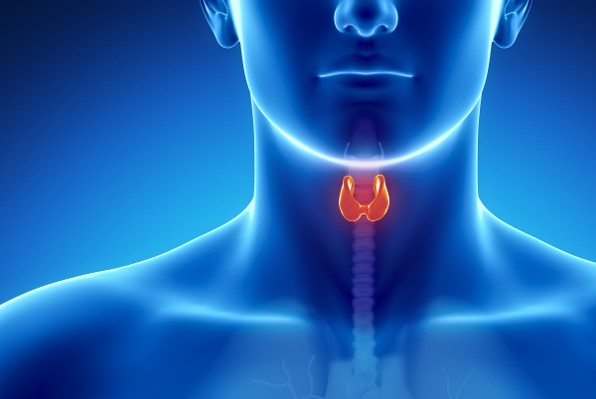 Simptomi koji upućuju da vam štitnjača ne radi kako treba