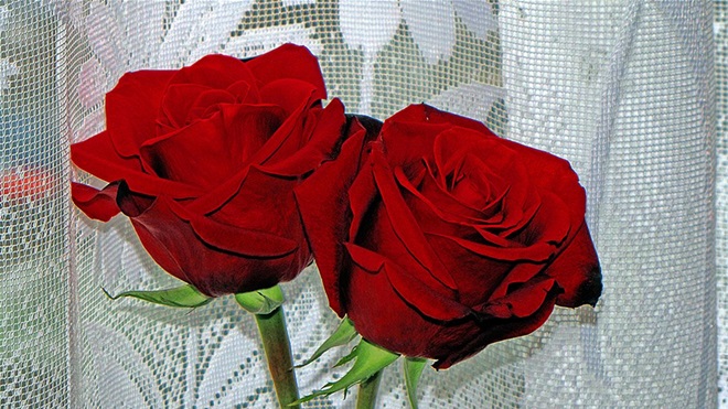 EMOTIVNA PRIČA O PRAZNIKU ŽENA: Uvijek sam za ovaj praznik kupovao dvije ruže, ali danas jednu ružu ostavljam na mezaru…
