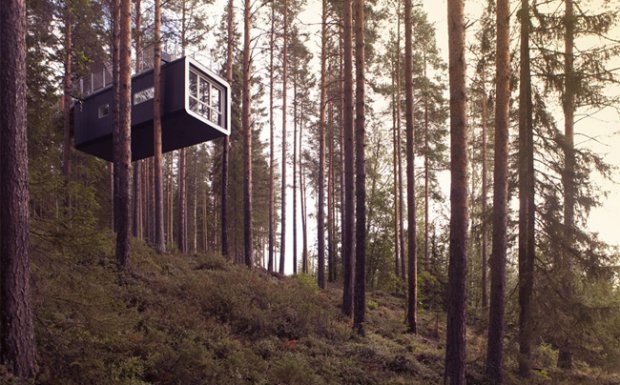 534501ed-21bc-4a48-b21d-396a57e60dd4-2kucanadrvetu-previewOrg