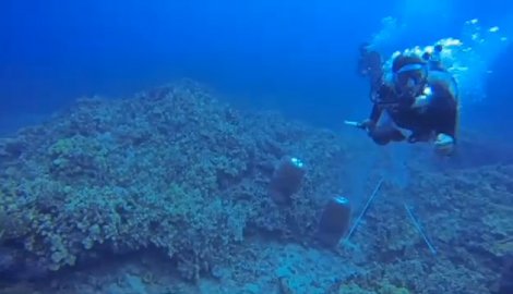 468512_pokusaj-ubistva03-foto-kailua-kona-scuba-scuffle_f