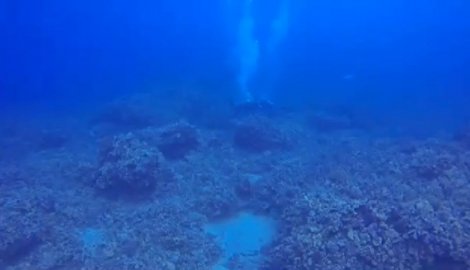 468514_pokusaj-ubistva05-foto-kailua-kona-scuba-scuffle_f