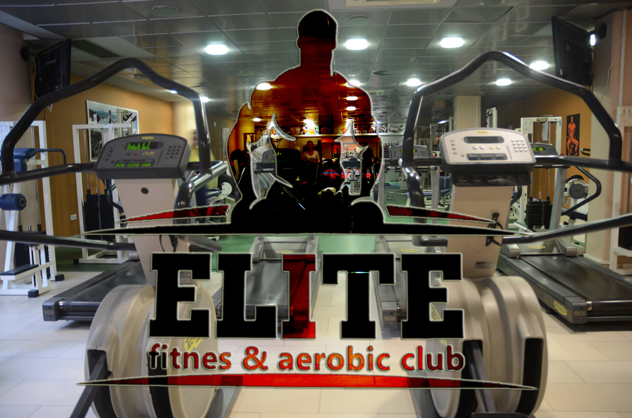 U ORGANIZACIJI FITNESS ELITE ARENA ZENICA: Prvi seminar o bodybuildingu, treninzima, ishrani i suplementaciji