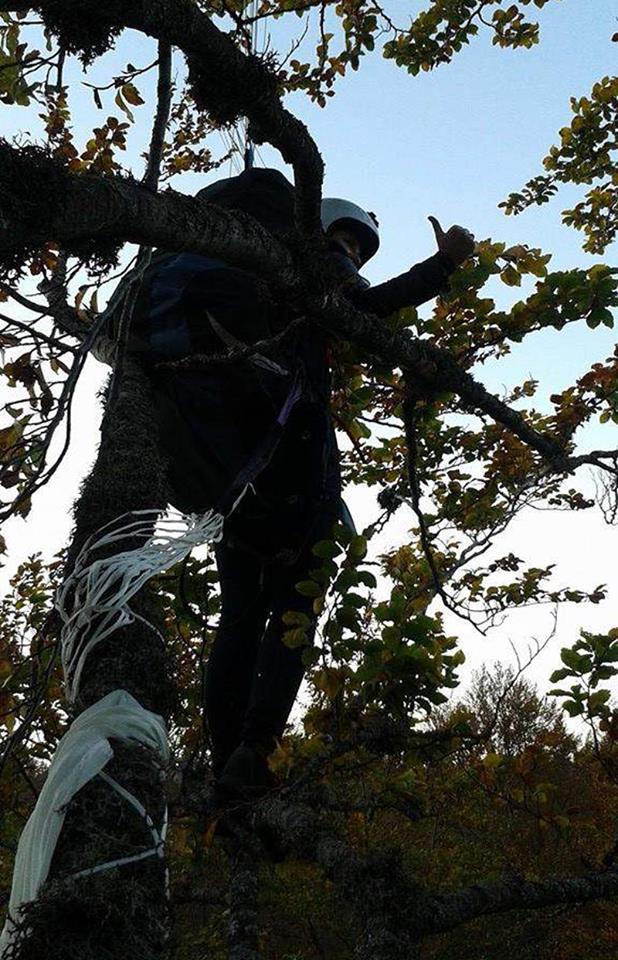 10726731_10204322459835643_586011712_n