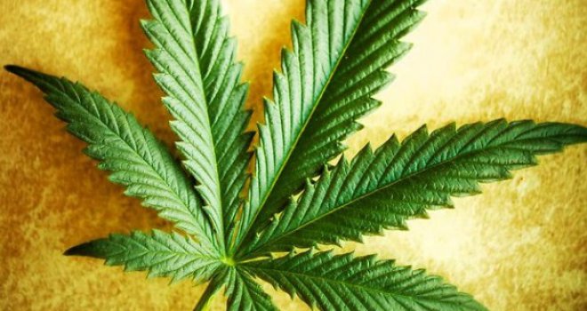 Dozvoljava li islam korištenje ulja kanabisa?!