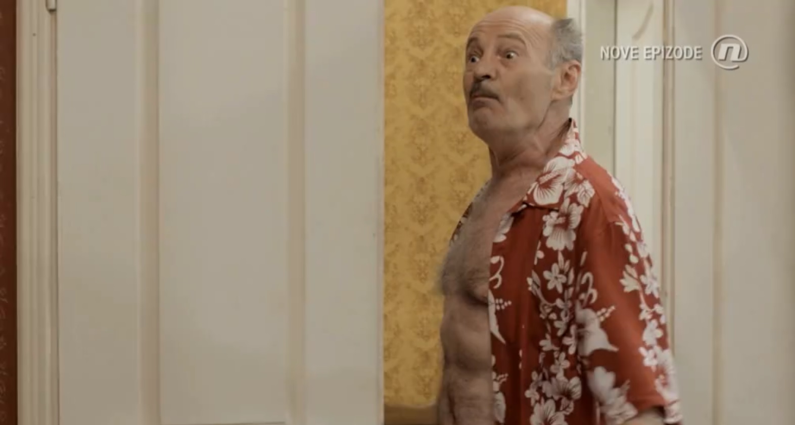 Pogledajte 145 epizodu serije “Lud zbunjen normalan” (VIDEO)