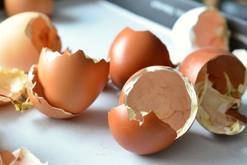 Šest upotreba ljuske od jaja kojih se nikada ne biste dosjetili - Portal  072info
