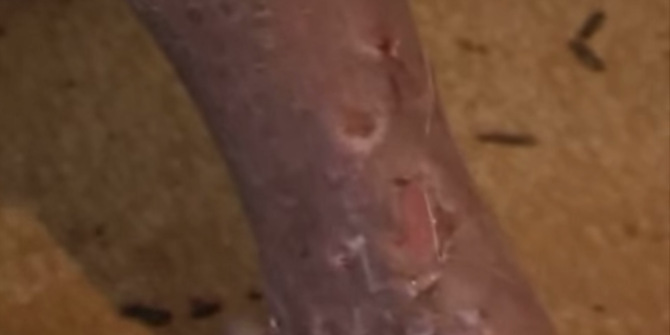 UŽAS NA NAŠIM ULICAMA: Ovo je pet najopasnijih umjetnih droga