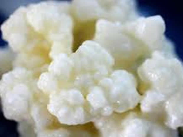 Saznajte sve o kefiru, čudesnom napitku koji liječi