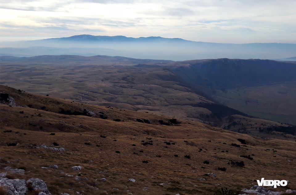 11202110_929368987157184_6720808545811837686_n