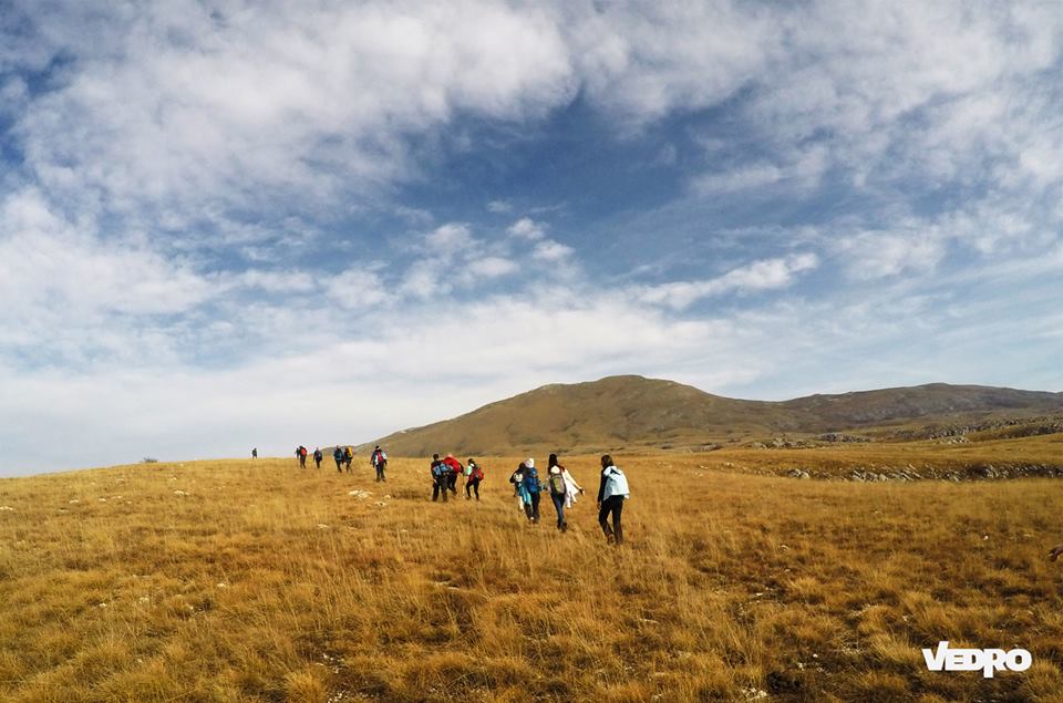 12219443_929382447155838_3758937376407327287_n