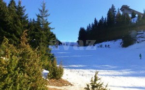 568025f8-efec-4a7a-918d-72820a0a0a64-vlasic-danas3-718x446