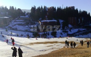 56802604-f0f4-4864-b0e0-72820a0a0a64-vlasic-danas5-718x446