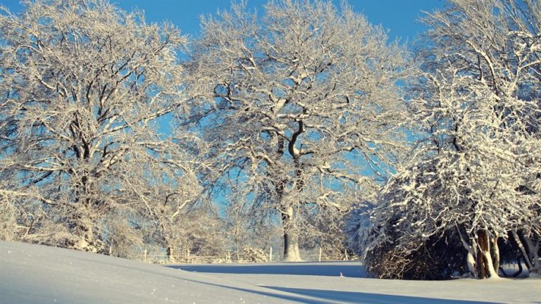Vremenska prognoza za ponedjeljak