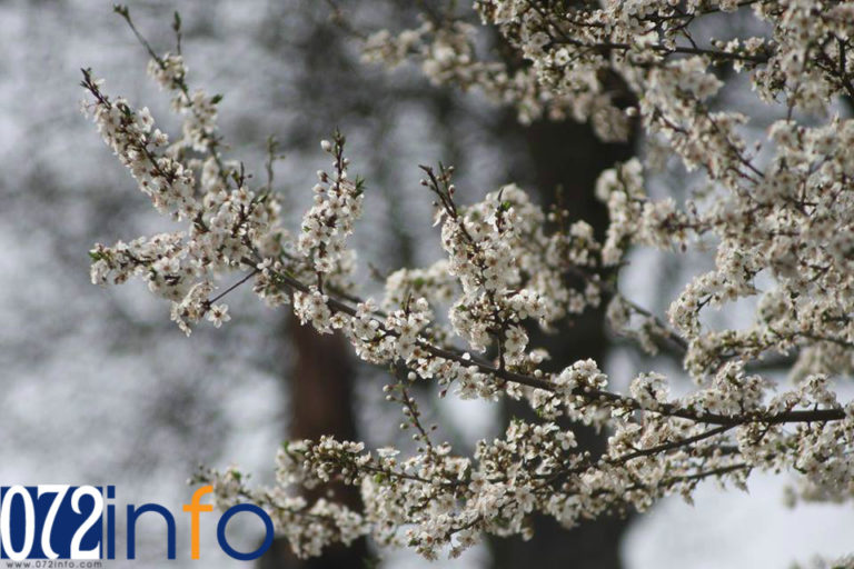 Proljeće toplije od prosjeka: Veće količine padavina u drugoj polovini aprila