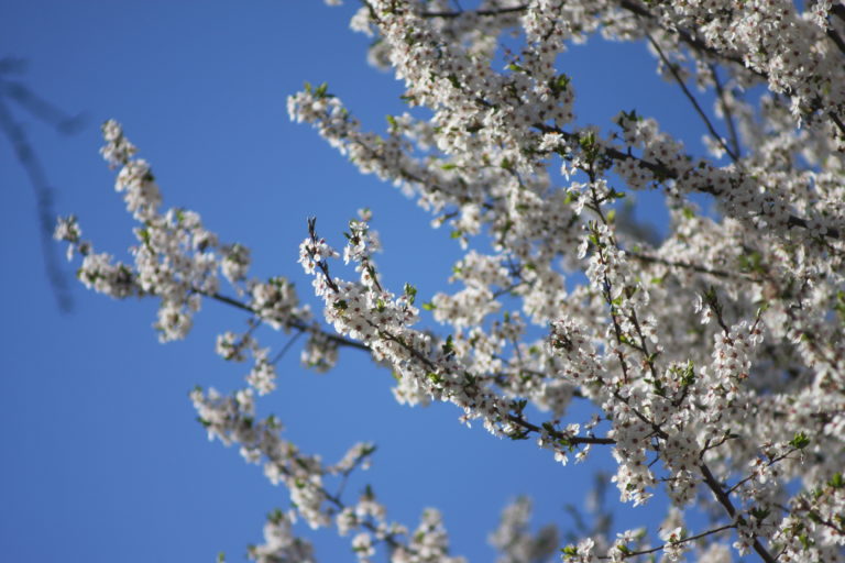 Objavljena vremenska prognoza za vikend u BiH