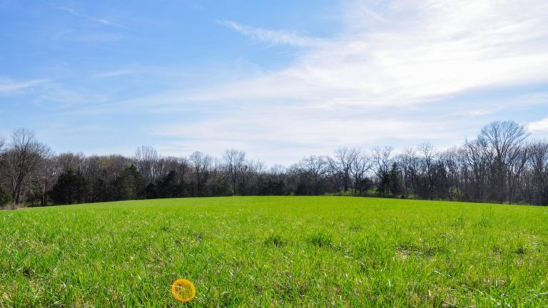 Pet načina da pobijedite proljetnu alergiju