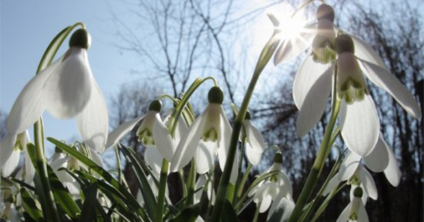 Zašto nam u narednih 100 godina proljeće dolazi dan ranije?