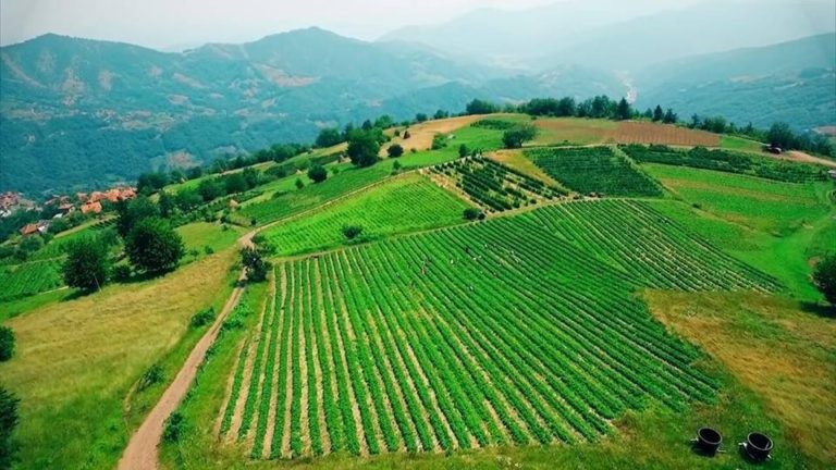 BiH može povećati poljoprivrednu proizvodnju i smanjiti uvoz