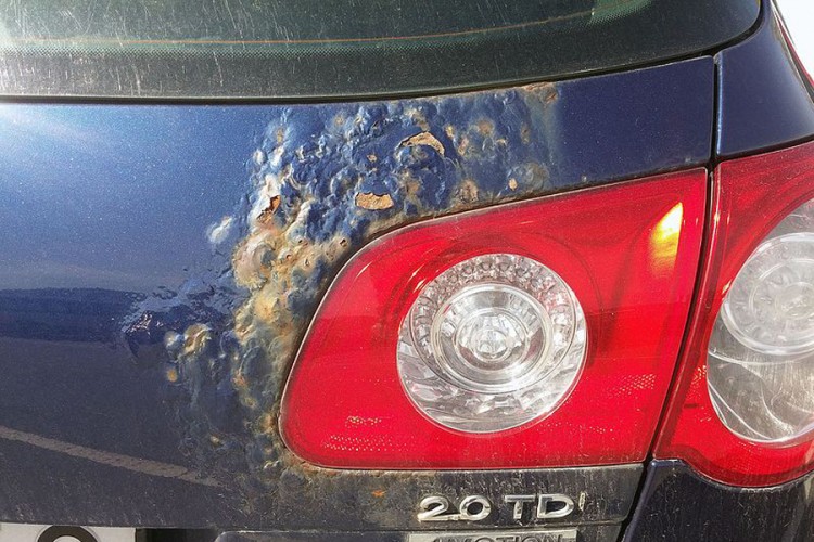 Šta protiv hrđe na autu možemo sami, a za šta moramo kod majstora?