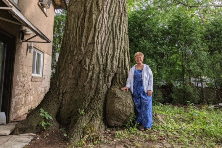 20200830154225 618732