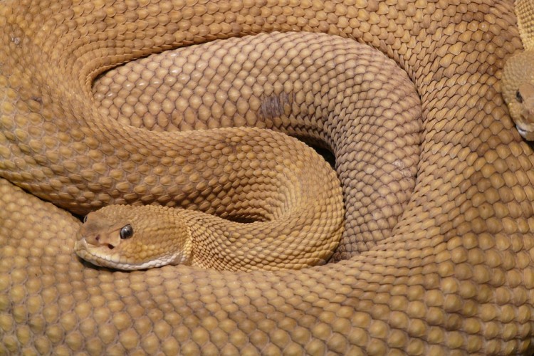 20200920195259 622302