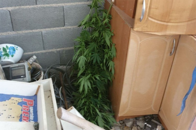 20200925142504 623168