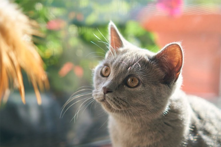 20200928185044 623639