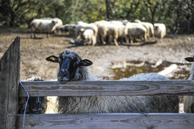 20200929190607 623840