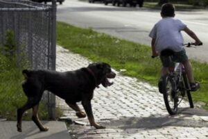 20201001213813 624235