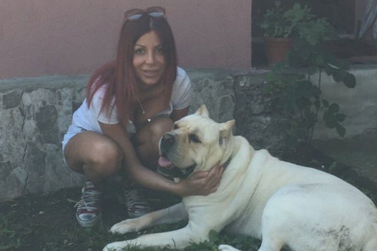 20201002184135443912