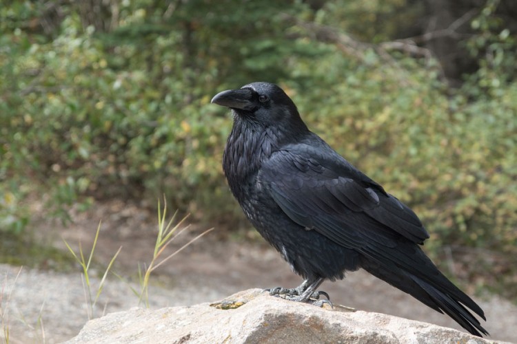 20201002211806 624415